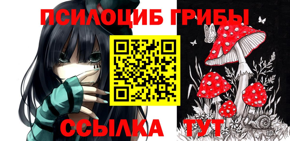 Псилоцибиновые грибы мицелий  Псилоцибиновые грибы Magic Shrooms  Владимир  Вход с VPN 